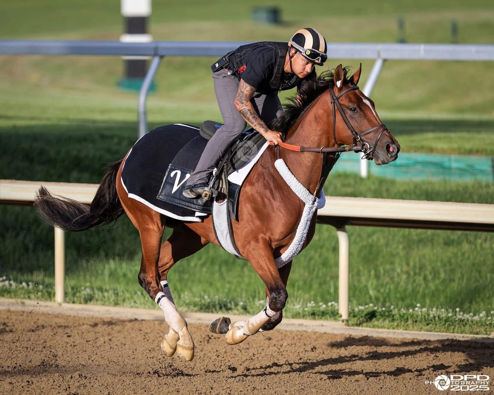 A horse breezing in the morning under an exercise rider, the stable's script V on the saddle towel